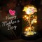 Birthday Gifts for Women,Mothers Day Flowers Gifts for Mom,Wife,Grandma,Mom Gifts for Her,Light Up Rose Flowers in Glass Dome,Colorful Rainbow Flower Rose Presents for Birthday,Anniversary,Valentines